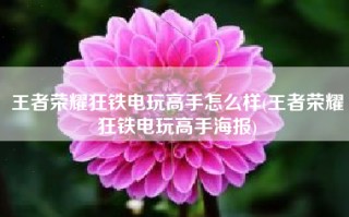 王者荣耀狂铁电玩高手怎么样(王者荣耀狂铁电玩高手海报)