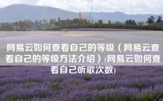 网易云如何查看自己的等级（网易云查看自己的等级方法介绍）(网易云如何查看自己听歌次数)