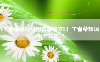 王者荣耀项羽用霸者铭文吗_王者荣耀项羽有霸体吗