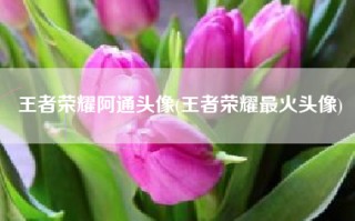 王者荣耀阿通头像(王者荣耀最火头像)