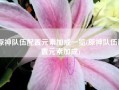 原神队伍配置元素加成一览(原神队伍配置元素加成)