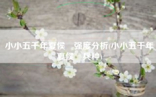 小小五千年夏侯惇强度分析(小小五千年夏侯惇兵种)