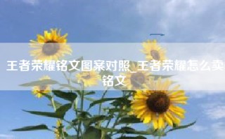 王者荣耀铭文图案对照_王者荣耀怎么卖铭文