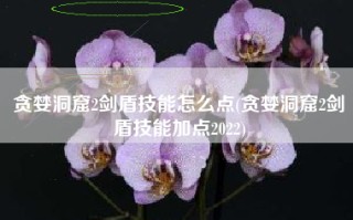 贪婪洞窟2剑盾技能怎么点(贪婪洞窟2剑盾技能加点2022)