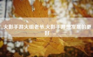 火影手游火组老爷,火影手游想发展的更好