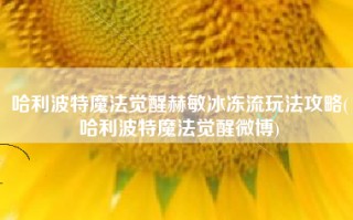 哈利波特魔法觉醒赫敏冰冻流玩法攻略(哈利波特魔法觉醒微博)