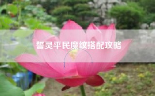 誓灵平民魔纹搭配攻略