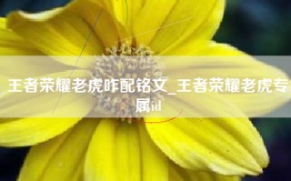 王者荣耀老虎咋配铭文_王者荣耀老虎专属id
