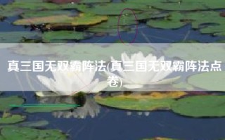 真三国无双霸阵法(真三国无双霸阵法点卷)