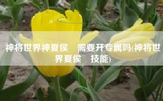 神将世界神夏侯惇需要开专属吗(神将世界夏侯惇技能)