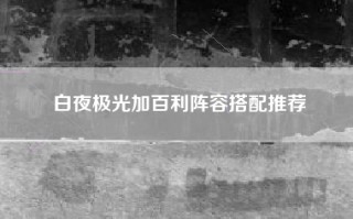 白夜极光加百利阵容搭配推荐