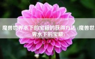 魔兽世界水下的宝箱的获得方法 (魔兽世界水下的宝藏)
