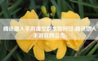 腾讯猎人手游虚空副本如何过(腾讯猎人手游官网公告)