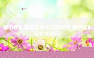 都市修仙模拟器突破选项攻略(都市修仙模拟器选项)