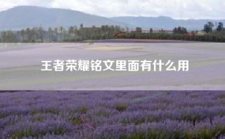 王者荣耀铭文里面有什么用