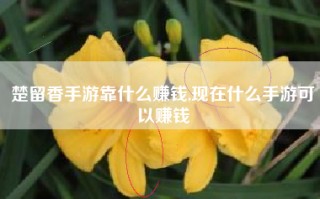楚留香手游靠什么赚钱,现在什么手游可以赚钱