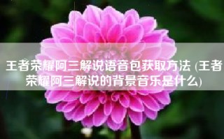 王者荣耀阿三解说语音包获取方法 (王者荣耀阿三解说的背景音乐是什么)