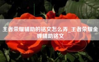 王者荣耀辅助的铭文怎么弄_王者荣耀金蝉辅助铭文