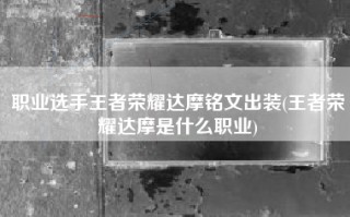 职业选手王者荣耀达摩铭文出装(王者荣耀达摩是什么职业)
