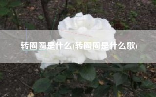 转圈圈是什么(转圈圈是什么歌)