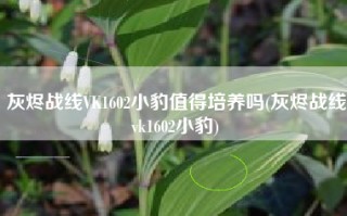 灰烬战线VK1602小豹值得培养吗(灰烬战线vk1602小豹)