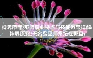 神界原罪2巫师职业特点与技能效果详解(神界原罪2无名岛巫师祭坛在哪里)