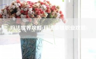 玛法世界攻略(玛法英雄职业攻略)