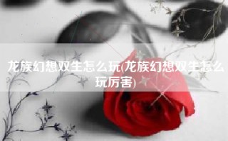 龙族幻想双生怎么玩(龙族幻想双生怎么玩厉害)