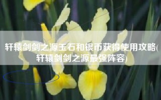 轩辕剑剑之源玉石和银币获得使用攻略(轩辕剑剑之源最强阵容)
