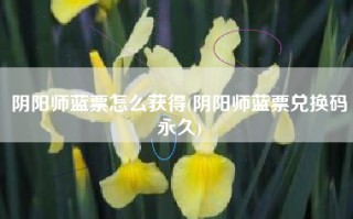 阴阳师蓝票怎么获得(阴阳师蓝票兑换码永久)