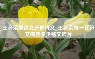 王者荣耀铭文还是符文_王者荣耀一套符文需要多少铭文碎片