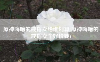 原神晦暗的戒指卖给谁划算(原神晦暗的戒指卖个好价钱)