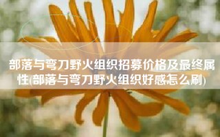 部落与弯刀野火组织招募价格及最终属性(部落与弯刀野火组织好感怎么刷)
