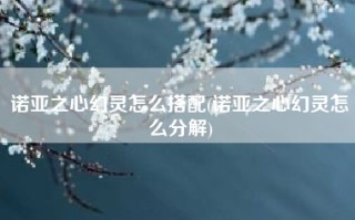 诺亚之心幻灵怎么搭配(诺亚之心幻灵怎么分解)