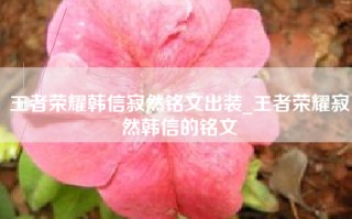 王者荣耀韩信寂然铭文出装_王者荣耀寂然韩信的铭文