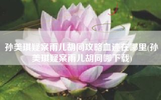 孙美琪疑案雨儿胡同攻略血迹在哪里(孙美琪疑案雨儿胡同哪下载)