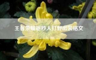 王者荣耀铠秒人打野出装铭文