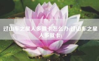 过山车之星人多就卡怎么办(过山车之星人多就卡)