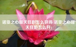诺亚之心噬天狂影怎么获得(诺亚之心噬天狂影怎么开)