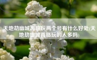 天地劫幽城再临玩两个号有什么好处(天地劫幽城再临玩的人多吗)
