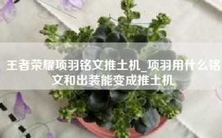 王者荣耀项羽铭文推土机_项羽用什么铭文和出装能变成推土机