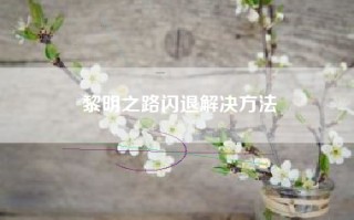 黎明之路闪退解决方法