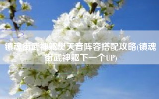 镇魂街武神躯樊天音阵容搭配攻略(镇魂街武神躯下一个UP)
