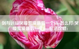 剑与远征哭嚎荒漠最后一个boss怎么打(哭嚎荒漠最后一个boss打法攻略)
