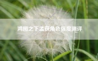 鸿图之下孟获角色强度测评