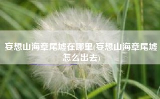 妄想山海章尾墟在哪里(妄想山海章尾墟怎么出去)