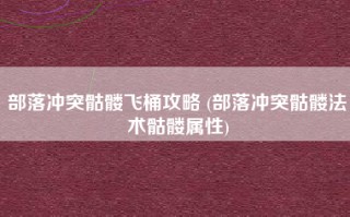 部落冲突骷髅飞桶攻略 (部落冲突骷髅法术骷髅属性)