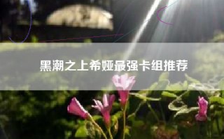 黑潮之上希娅最强卡组推荐