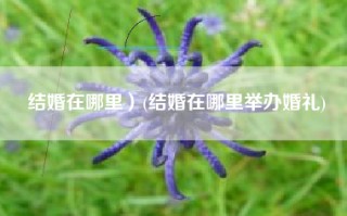 结婚在哪里）(结婚在哪里举办婚礼)
