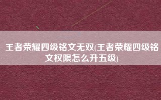 王者荣耀四级铭文无双(王者荣耀四级铭文权限怎么升五级)
